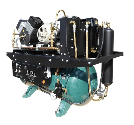 Tech-West Rocky Series 1.5 HP Oilless Dental Air Compressor 2 Heads