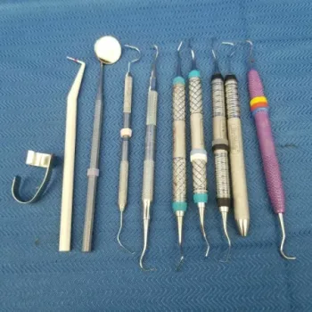 Dental Hygiene Kit Lot of Instruments