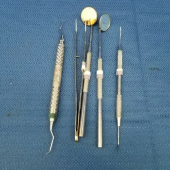 Dental Hygiene Kit Lot of Instruments