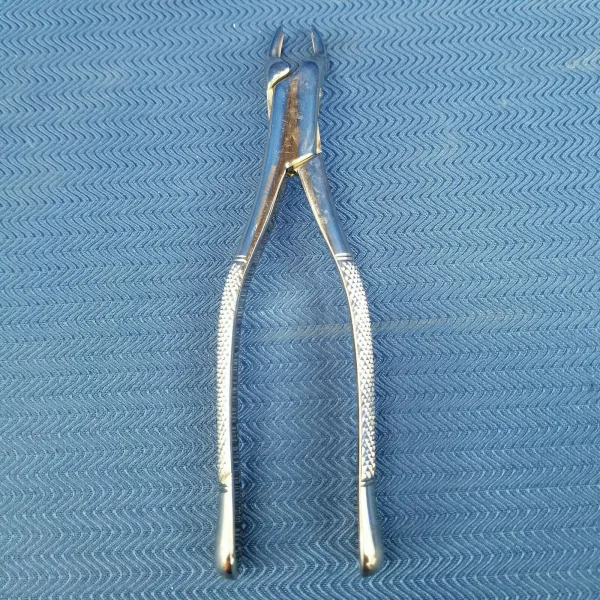 Dental Stainless Steel Extraction Forceps 10S