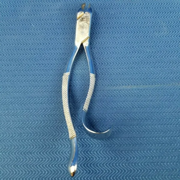 Dental Stainless Steel Extraction Forceps #18L