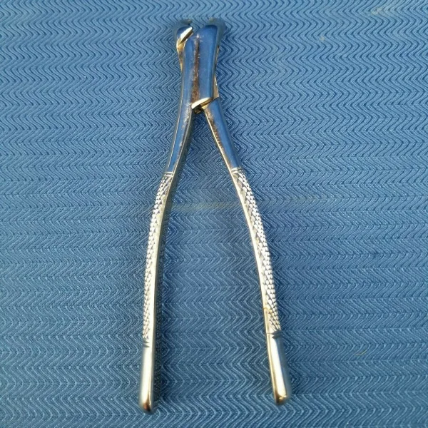 Dental Stainless Steel Extraction Forceps 23