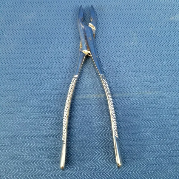 Dental Stainless Steel Extraction Forceps #1