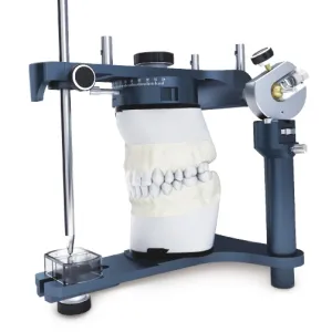 articulators