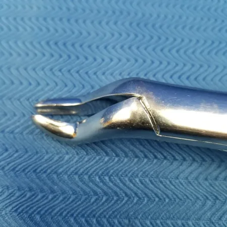 Premier 53R Maxillary Dental Forceps