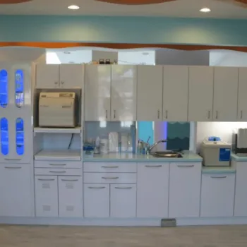 Sterilization Center Cabinet Modules Variation 16