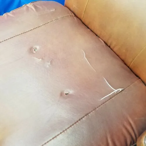 Belmont Patient Dental Tattoo Chair