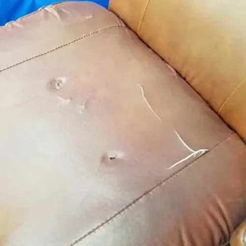 Belmont Dental Chair