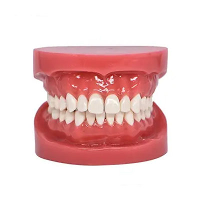 Other Dental Equipment
