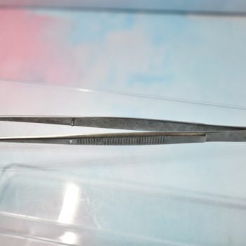 Turtle Cotton Forceps 19-371