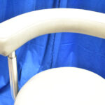 Chayes Virginia Assistant Stool Chayes Virginia Assistant Stool