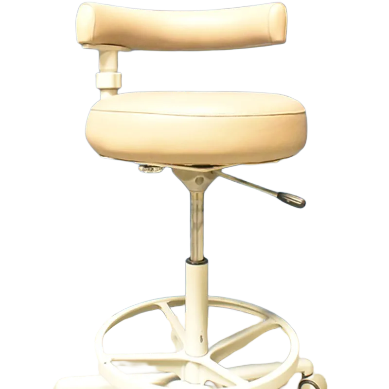 Dentech Dental Assistant Stool