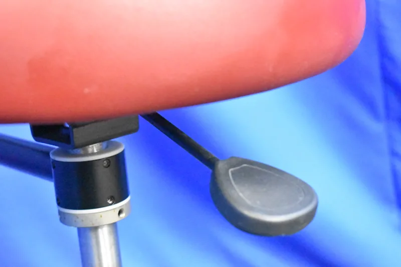 Dansereau Assistant Stool