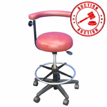 Dansereau Assistant Stool