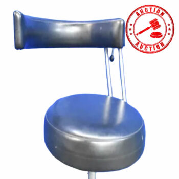 Dentsply Assistant Stool auction